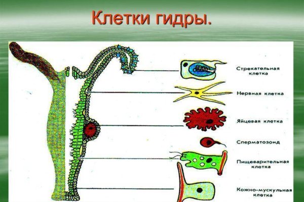 Даркнет зеркало